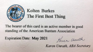 american-bantam-association-membership-certificate-tfbt-farms
